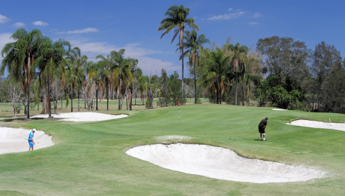 palm meadows golf course review