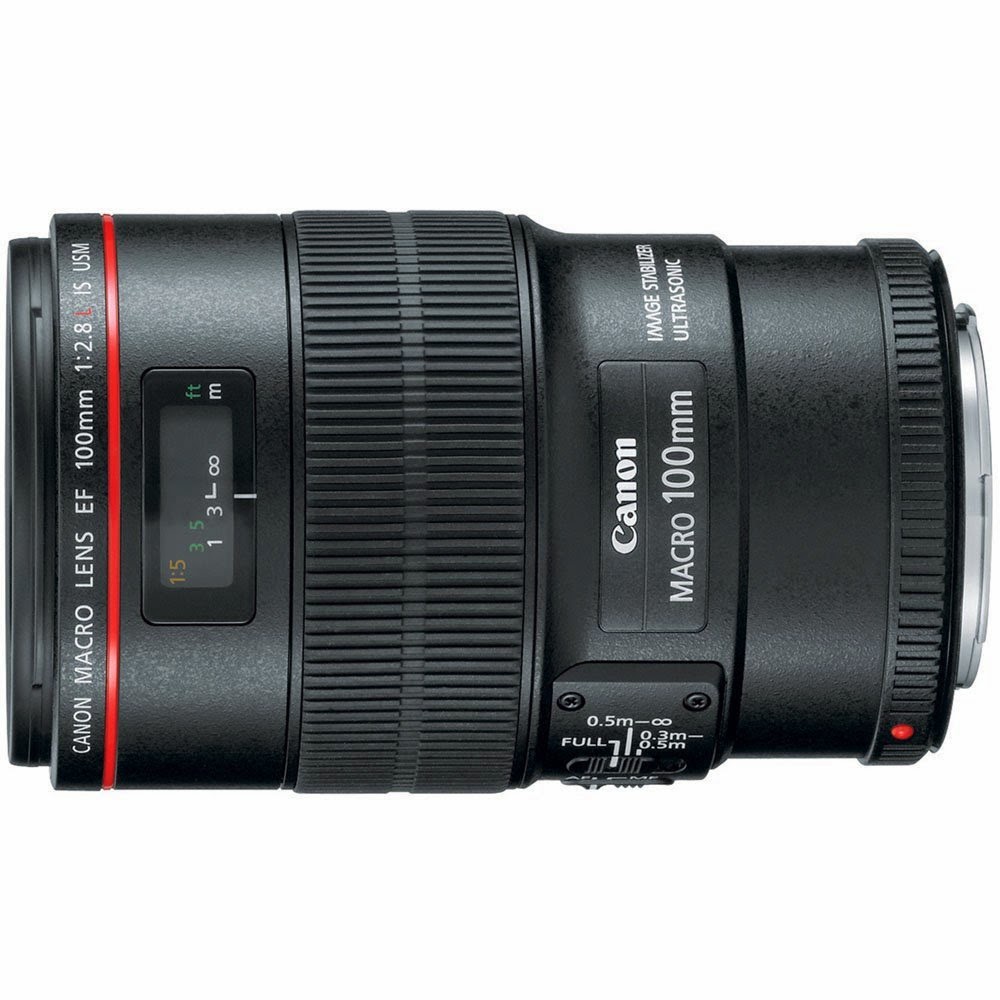canon ef 100mm macro lens review