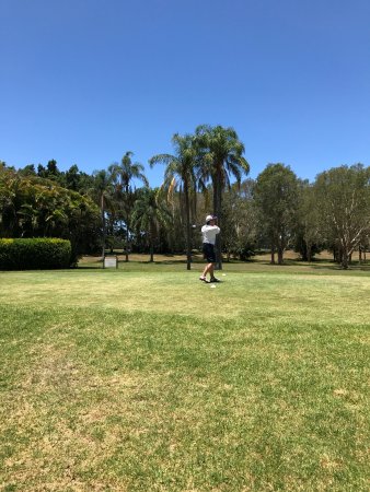 palm meadows golf course review