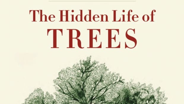 hidden life of trees review