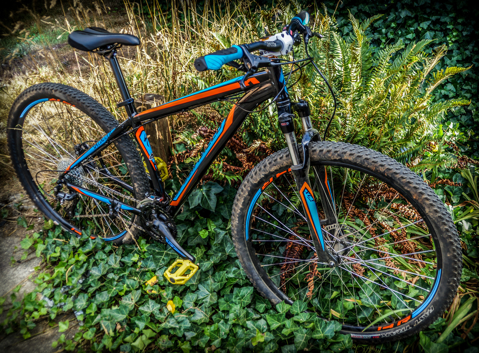 specialized hardrock disc 29 review